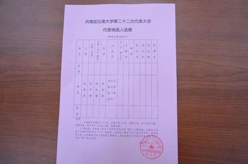 选举监票员怎样做？选举人团如何计票