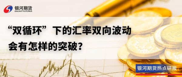 汇率双向波动的弊端？如何应对汇率双向波动