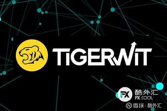 tigerwit老虎外汇用起来怎么样？老虎外汇如何汉化