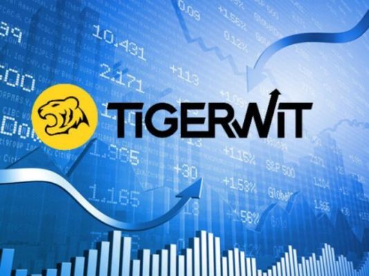 tigerwit老虎外汇用起来怎么样？老虎外汇如何汉化