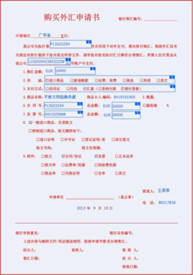 中国银行外币兑换业务需要填写哪些单子？2017如何购汇经历