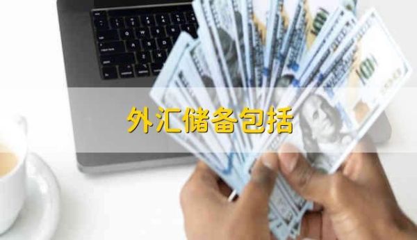 外汇储备可以拿回到国内吗？如何提款外汇储备