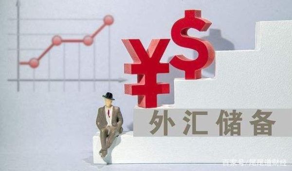 外汇储备可以拿回到国内吗？如何提款外汇储备