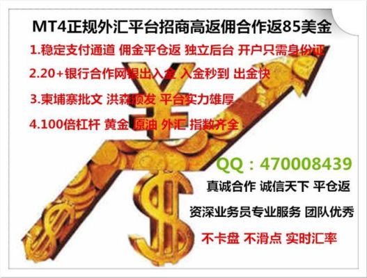 我想做外汇代理不知道怎么推广？如何建立外汇黄金平台