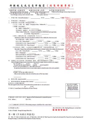 外汇申报交易附言填什么？外汇申报单如何填写