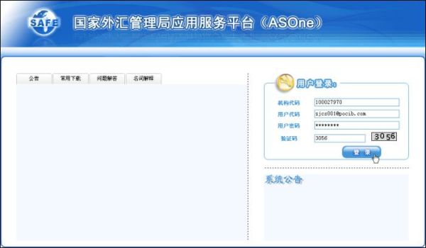 第一次外汇申报怎么弄啊？收到外汇 如何申报