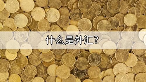国内如何接收外币？如何收取外币