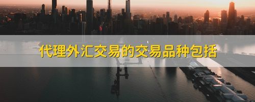 我想做外汇代理不知道怎么推广？如何成立外汇代理