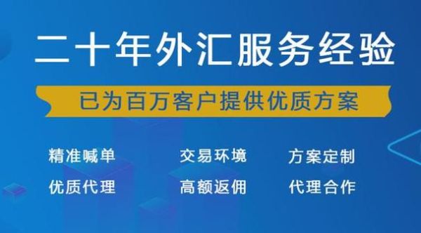 我想做外汇代理不知道怎么推广？如何成立外汇代理