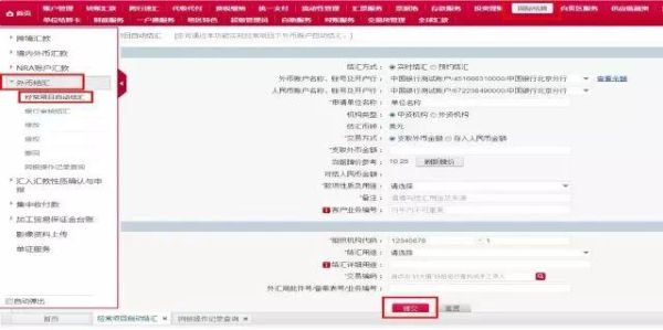 中行外汇转账流程？网银如何汇美元