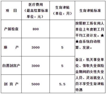 自己加金的自由职业者，生好孩子后可以领到生育津贴吗？如何帮自己加金