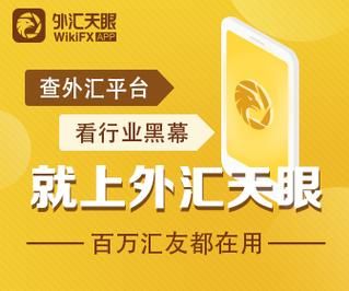 外汇天眼和外汇110是怎么回事，到底哪家可信？如何选择一家外汇公司