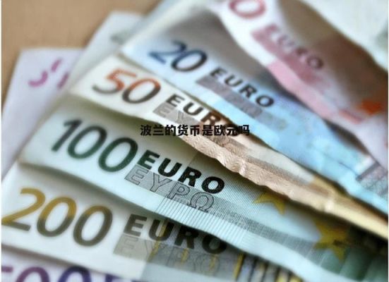 在波兰旅游可以使用欧元吗？如何兑换波兰货币