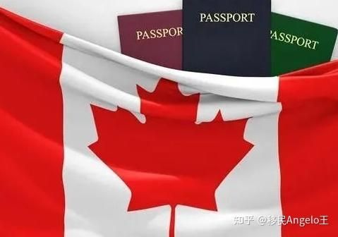 加拿大失业金领取条件2020年？加拿大如何降低失业率