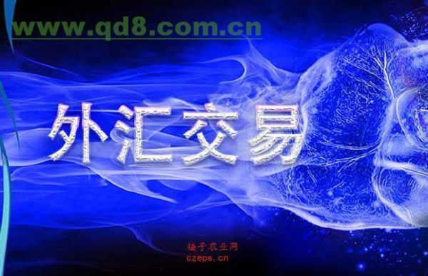 怎样才能外汇赚大钱呢？如何搭建外汇主标
