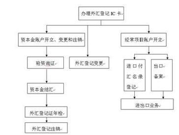 想问一下会计工作中外汇的收汇、付汇、结汇的具体流程？外汇如何制作