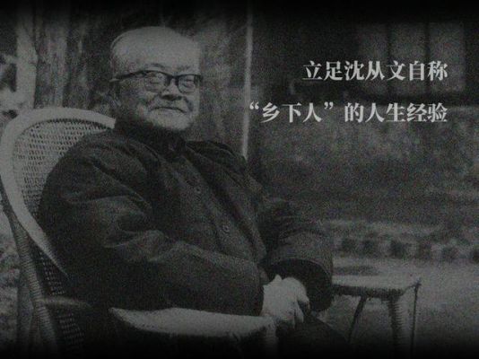 教授说“没学问的乡下人”“乡下人”怎么回敬教授？懂了么 如何回评