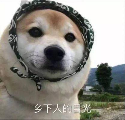 教授说“没学问的乡下人”“乡下人”怎么回敬教授？懂了么 如何回评
