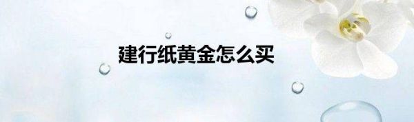 纸黄金怎么购买？建行纸黄金如何查买入价格