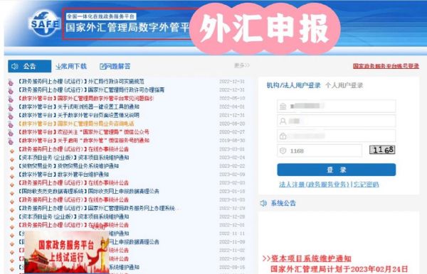 公司汇款美元怎么备案？外汇公司如何选择