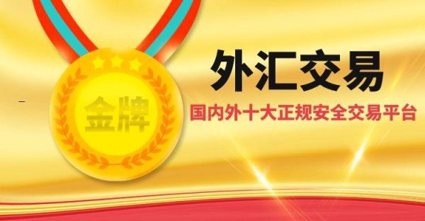国内十大安全稳定的外汇平台有哪些？外汇平台Ip如何查得到