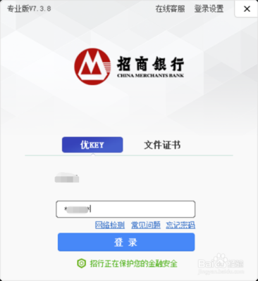 怎么在招商银行网上银行买美元？招商银行网银如何购汇