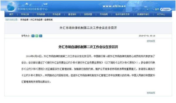 外汇正规监管机构有哪些？如何完善外汇自律机制
