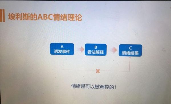 什么叫情绪票？投机情绪报告如何看