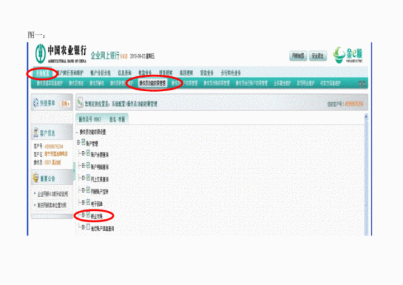 企业网银农行账户结汇流程？如何在农业银行网银查汇率