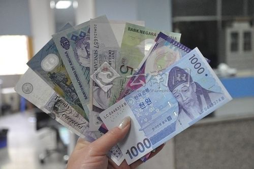 我国可兑换的外币币种主要有哪些？去智利如何兑换货币