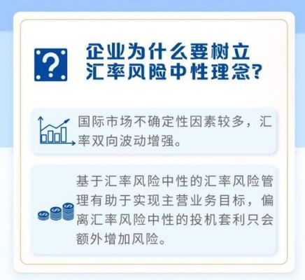 案例中所涉及的汇率风险是指什么？如何汇率风险