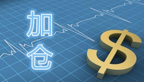 加仓什么意思网络用语？外汇如何盈利加仓法