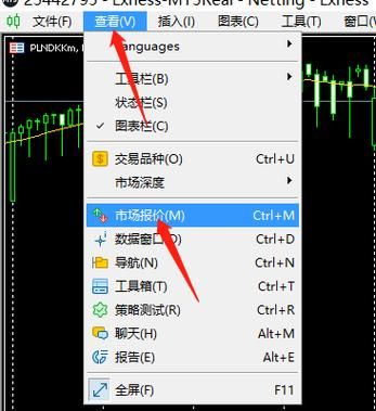 怎样删除mt4平台上面保存的账号，要不越攒越多很麻烦？mt4如何查看账户信息