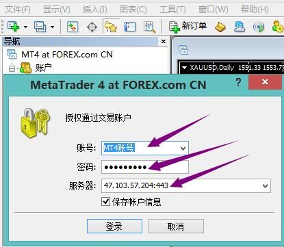 电脑登录MT4会有登录记录吗？如何查看mt4服务器ip