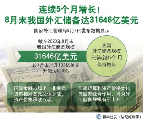 购买外汇用途填什么好？美元走强应如何买外汇