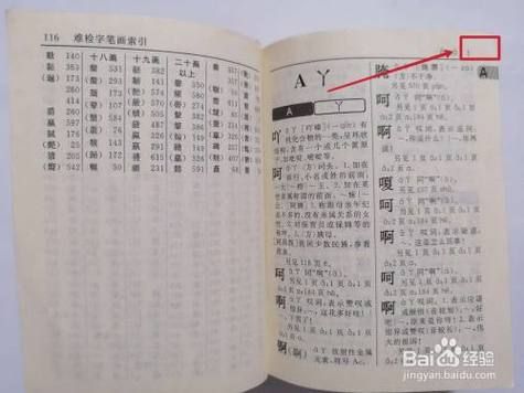 亏怎么查字典？如何下盈损单