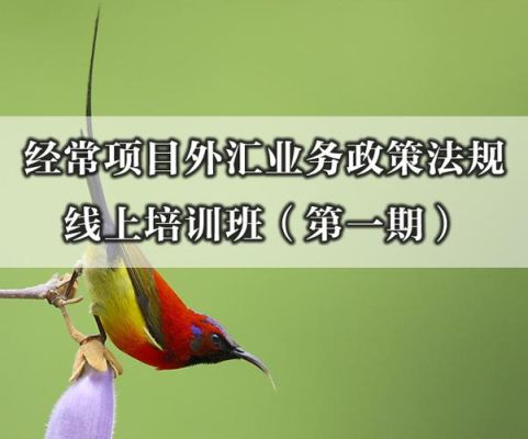 广州哪里有外汇培训班？如何开展外汇业务培训
