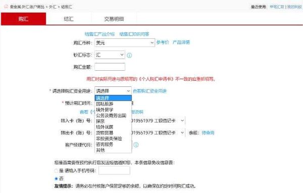 工行结售汇额度怎么查？如何查购汇汇款额度