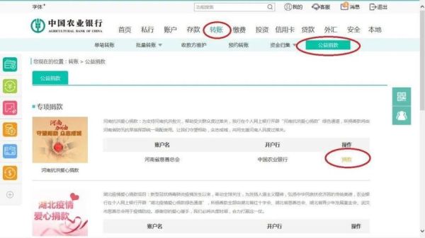 农业银行跨国转帐的步骤？农行网银如何换外汇