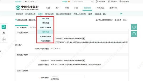 农行外汇到帐怎么查？如何查询外汇到账时间
