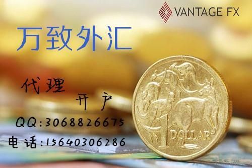 外汇和黄金需要多少保证金？万致外汇如何