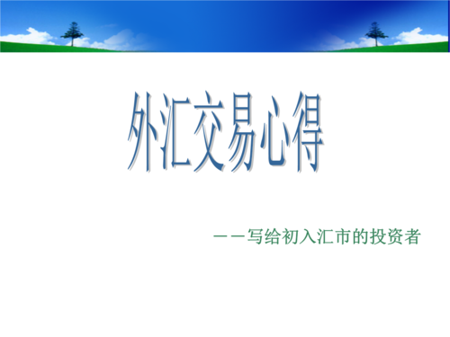 个人怎么进行买卖外汇？如何才能做外汇