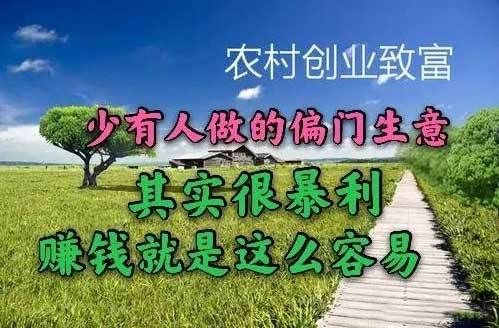 谁有挣快钱的门路，说下？如何合法挣快钱