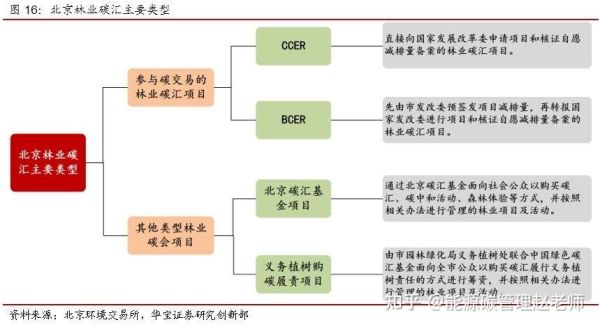 林业碳汇公司有哪几家？CTC如何看收益