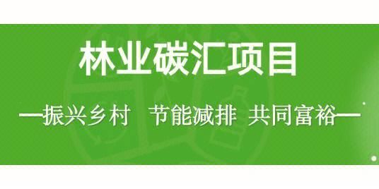 林业碳汇公司有哪几家？CTC如何看收益