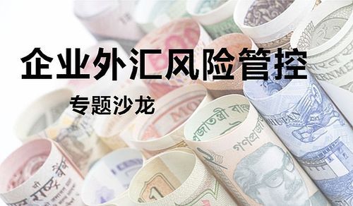 为避免外汇风险，可以采用什么方法避险保值？如何将汇率风险降到最低