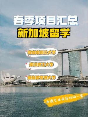 如何向新加坡南洋理工大学汇学费？如何汇新加坡元