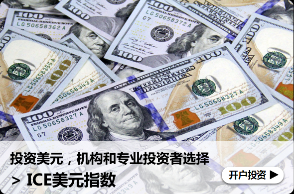 个人对单位投资如何处理？投资美元如何操作