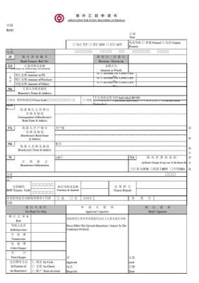 公司外汇帐户收到美元后到外汇局备案需要带什么资料？如何填外汇申请书