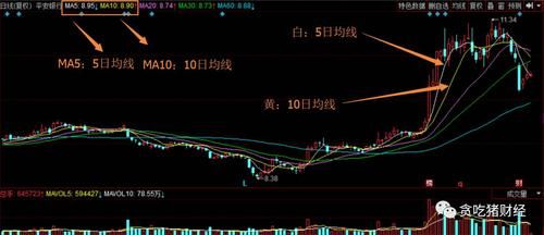 怎么看K线图与5日均线、10日均线、20日均线？如何预测未来5根k线